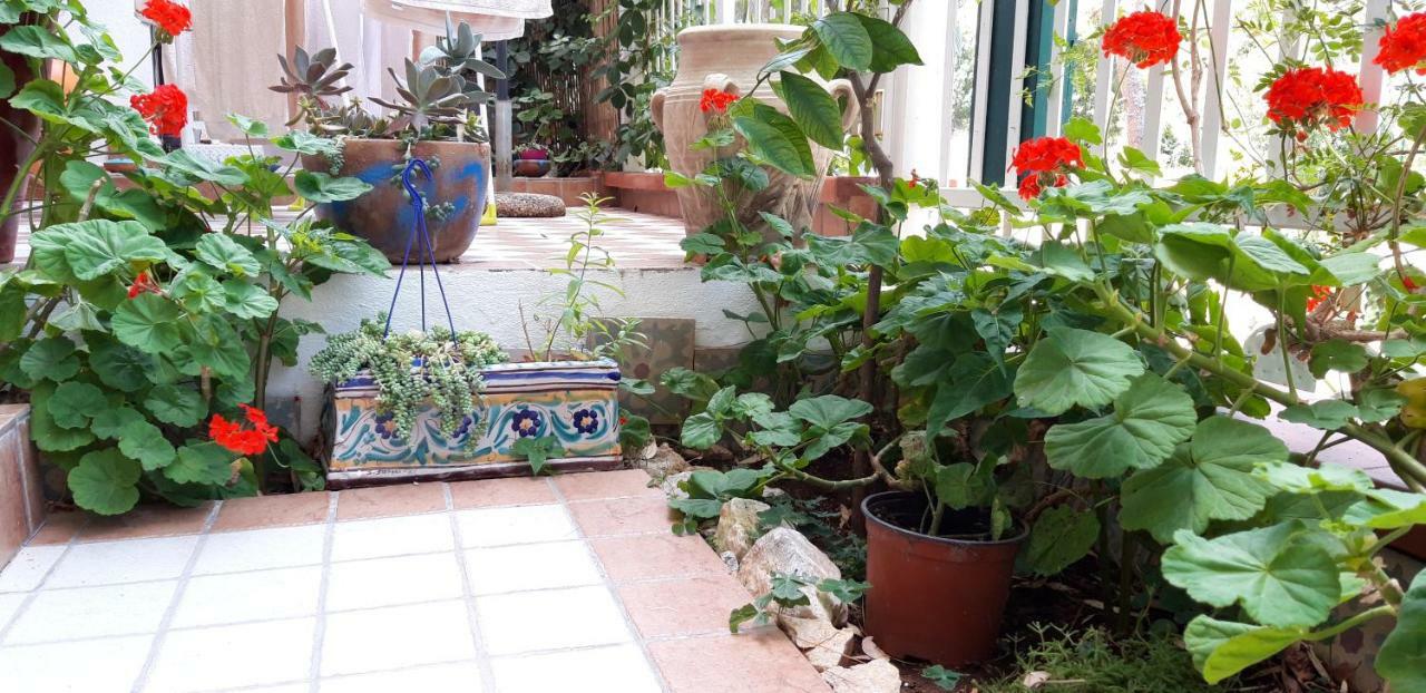 Casa Perciata - Locazione Turistica Mondello Exterior foto